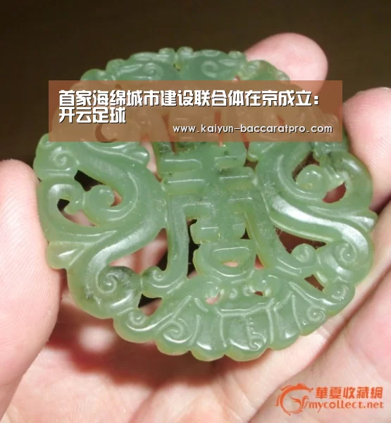首家海绵城市建设联合体在京成立:开云足球(图1) 开云体育