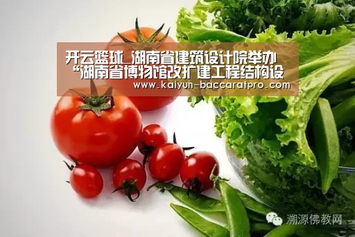 开云篮球_湖南省建筑设计院举办“湖南省博物馆改扩建工程结构设计交流会”(图2) 开云篮球