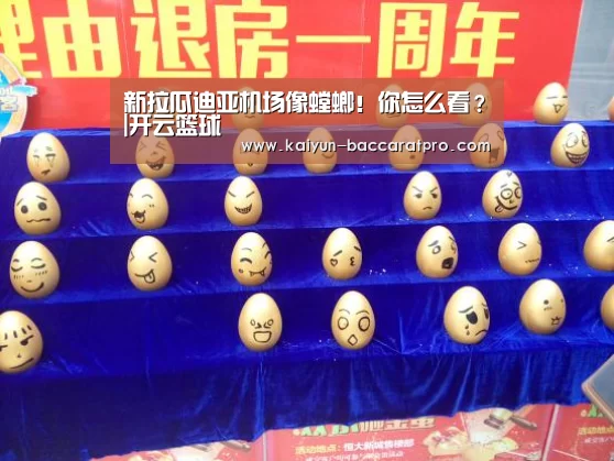 新拉瓜迪亚机场像螳螂!你怎么看?|开云篮球(图2) 开云篮球