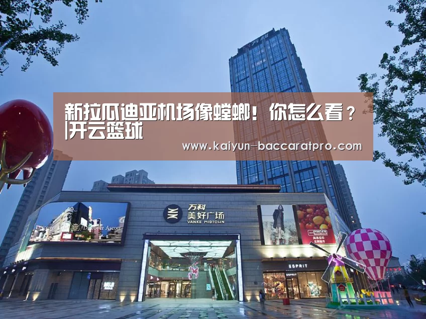新拉瓜迪亚机场像螳螂!你怎么看?|开云篮球(图1) 开云体育